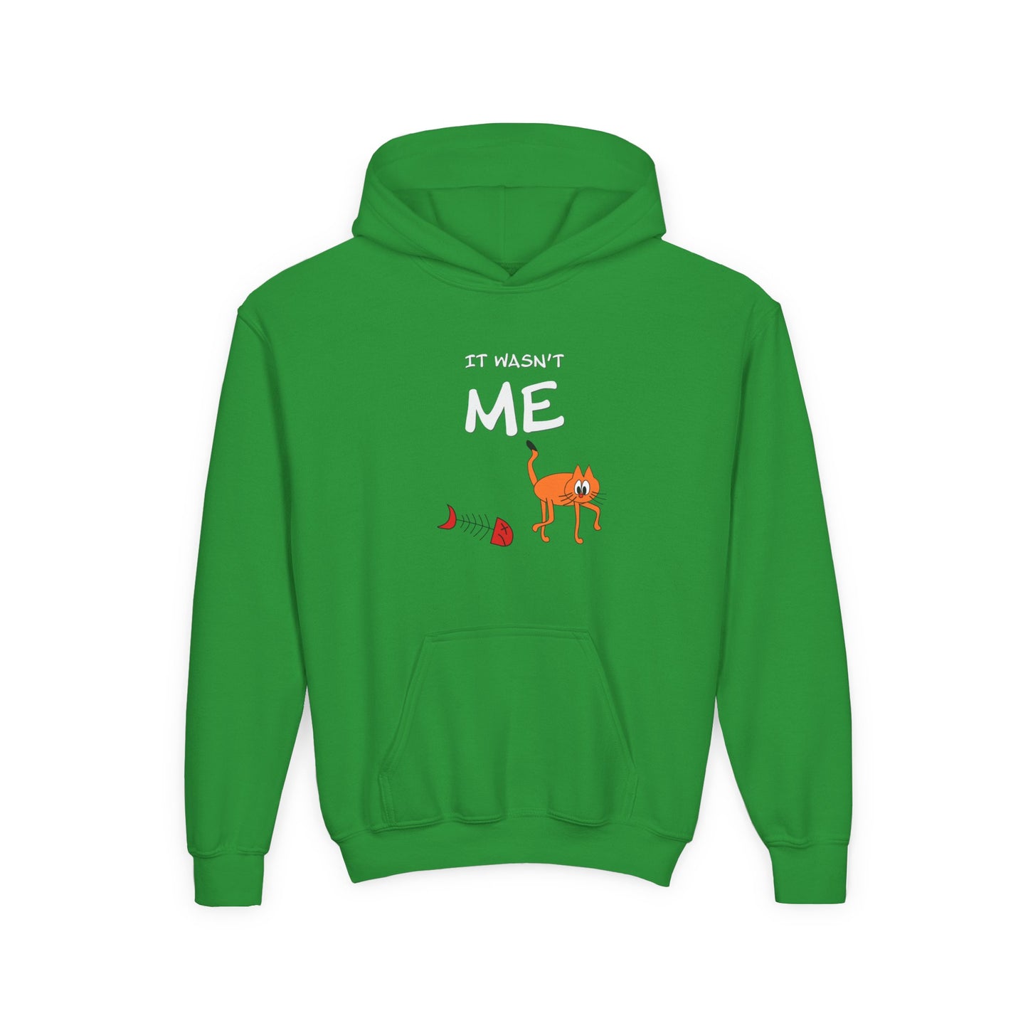 Leo The Cat Didn't Do It. Kids Hoodie