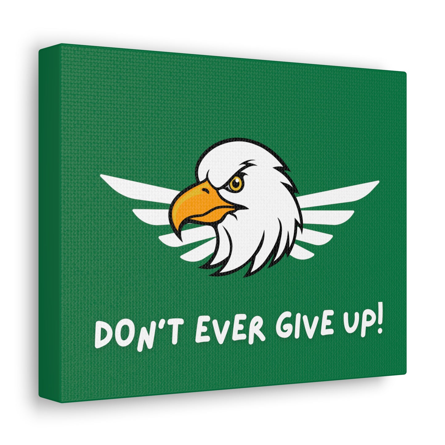 Don't Ever Give Up. Canvas Gallery Wraps