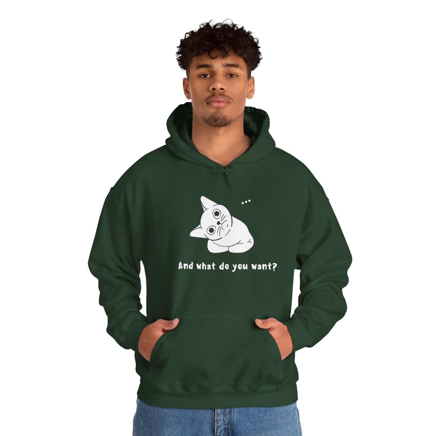 Vexing Cat Wondering What You Want.  Unisex Hooded Sweatshirt.
