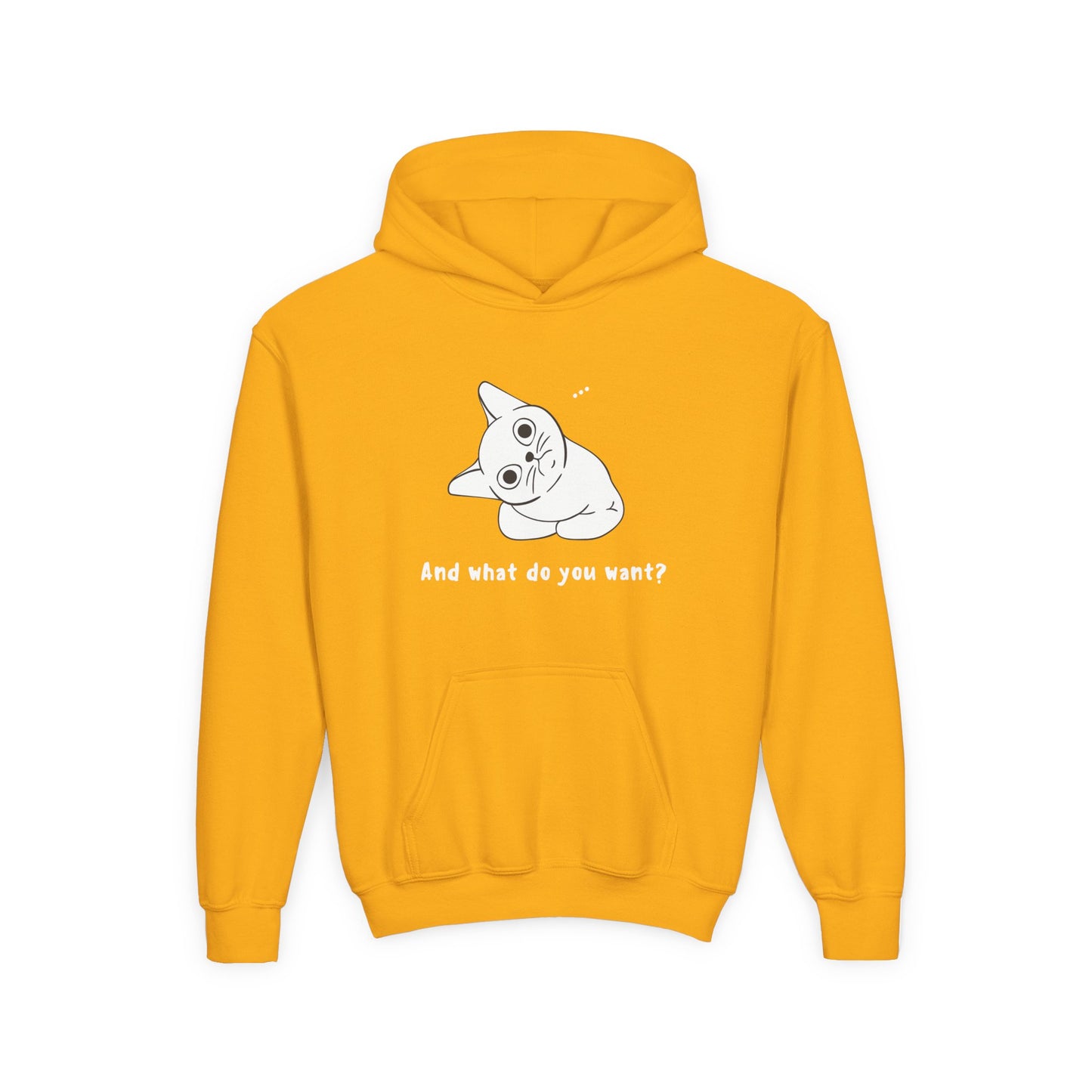 Vexing Cat Kids Hoodie