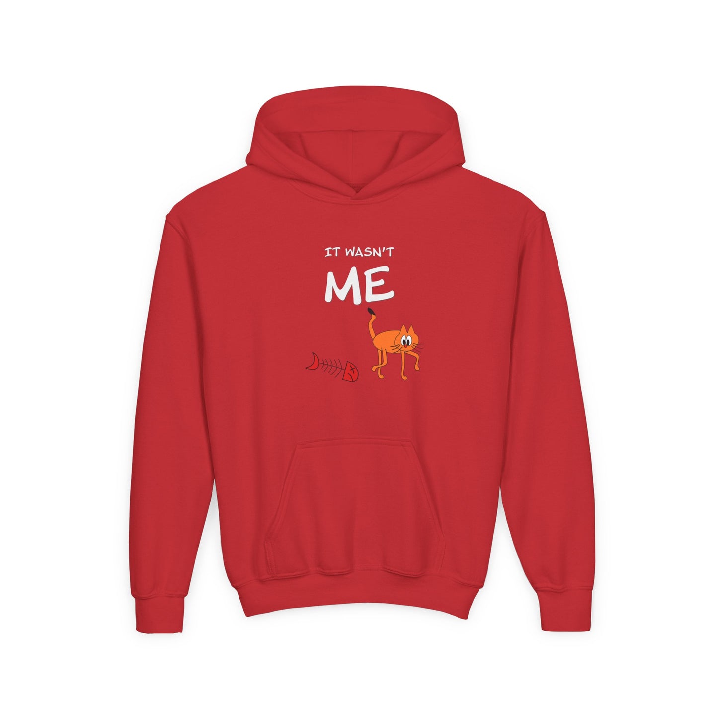 Leo The Cat Didn't Do It. Kids Hoodie