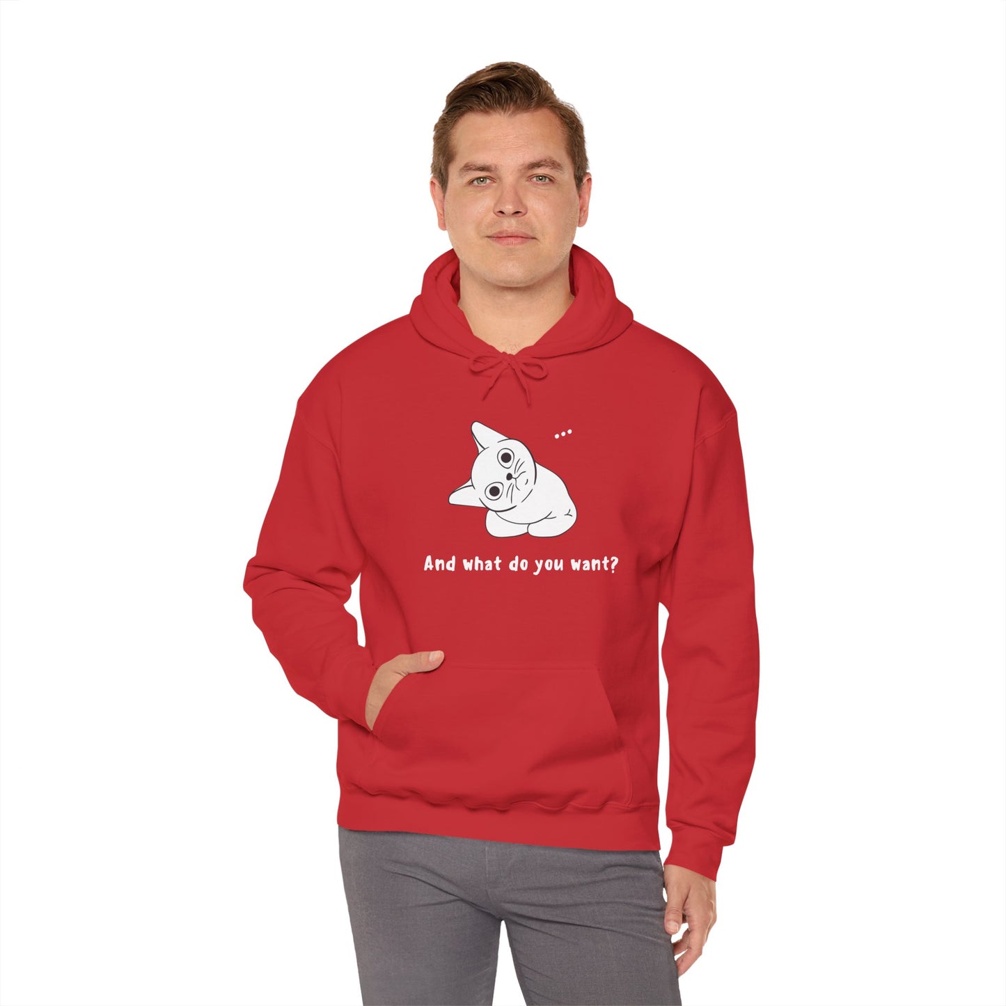 Vexing Cat Wondering What You Want.  Unisex Hooded Sweatshirt.