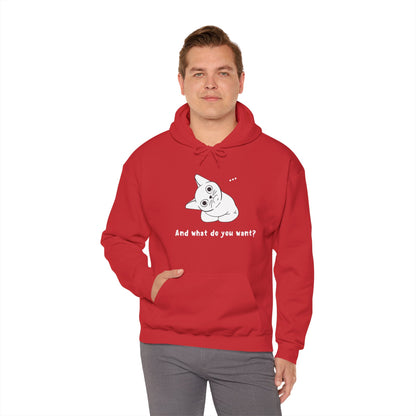 Vexing Cat Wondering What You Want.  Unisex Hooded Sweatshirt.