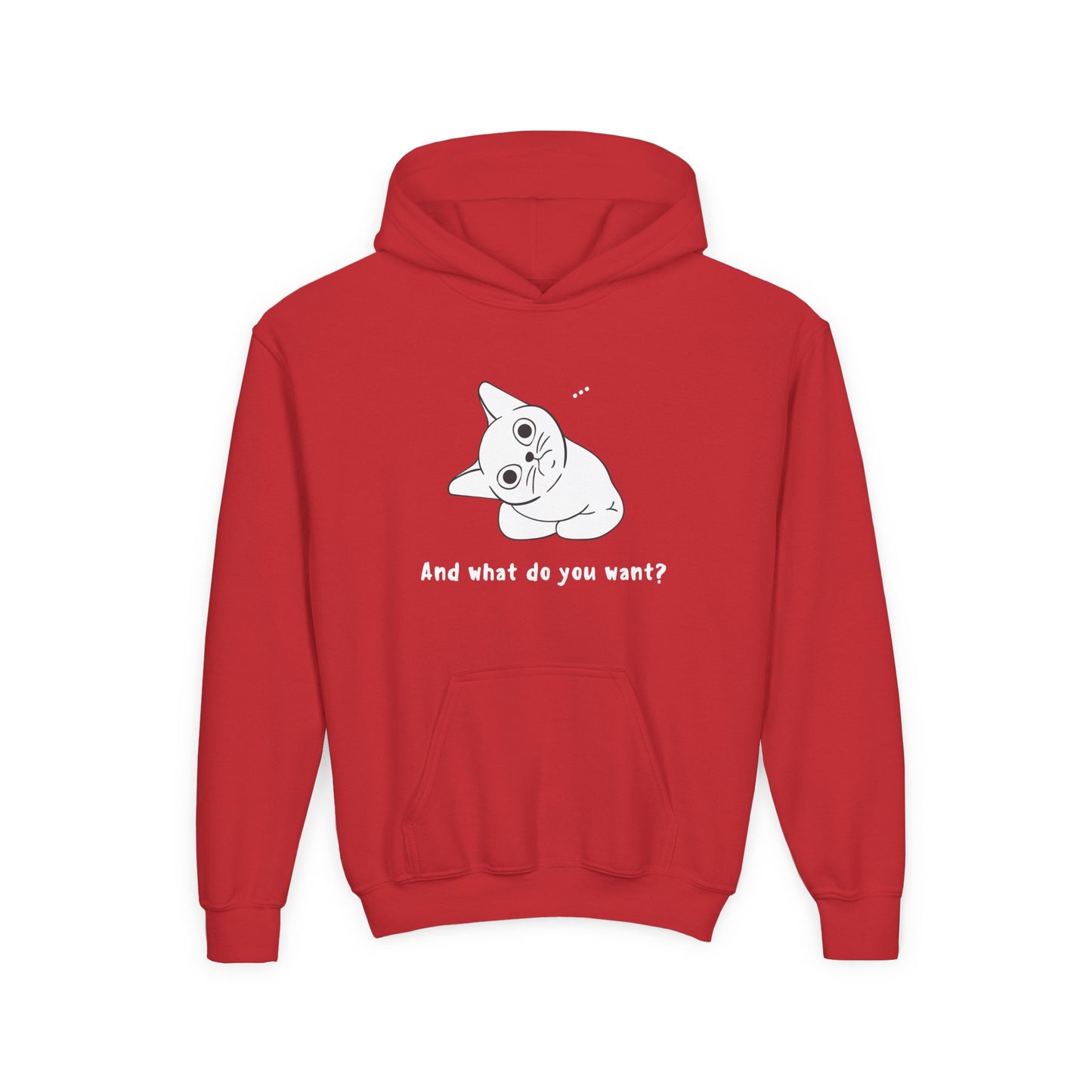 Vexing Cat Kids Hoodie
