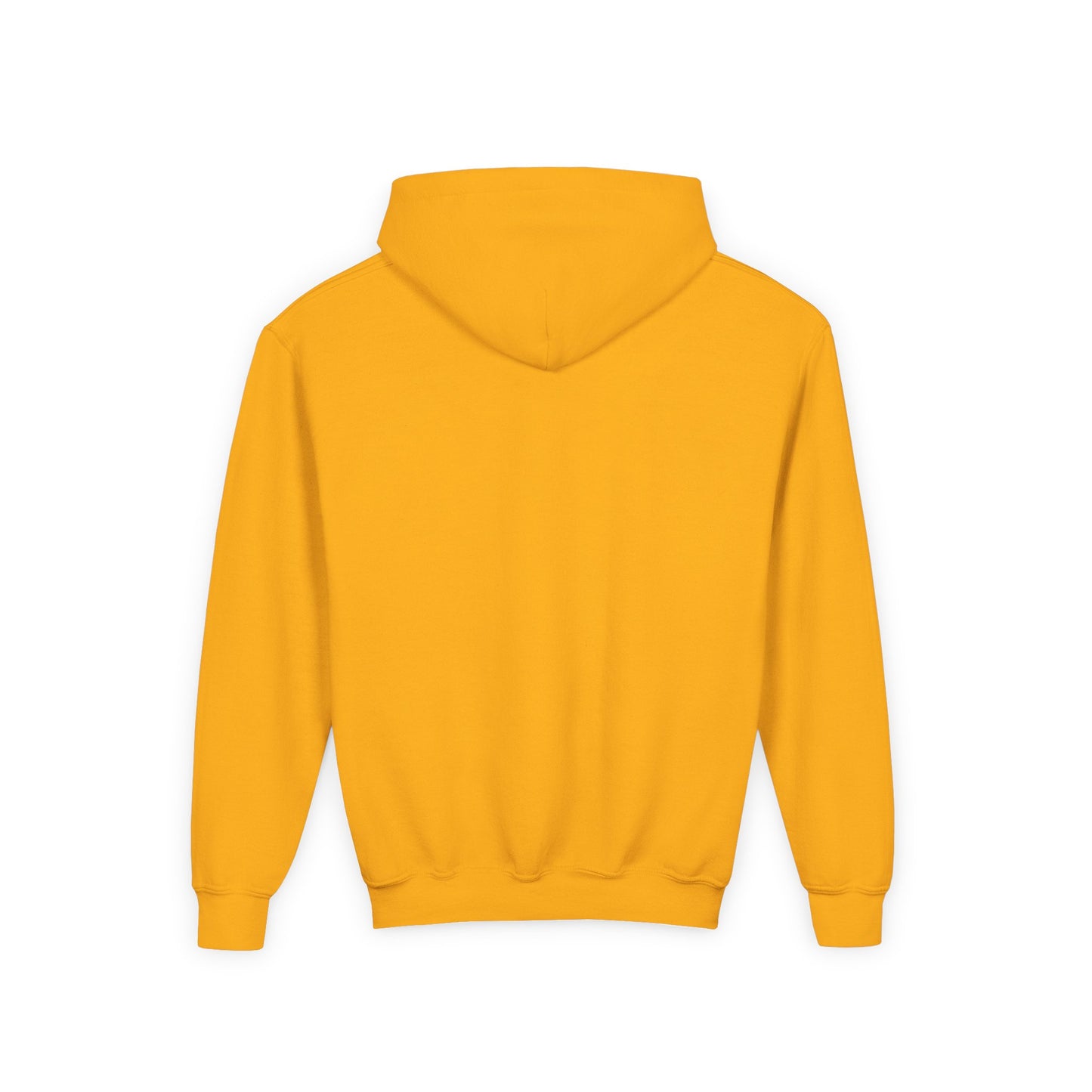 Jingles The Summertime Cat. Kids Hoodie