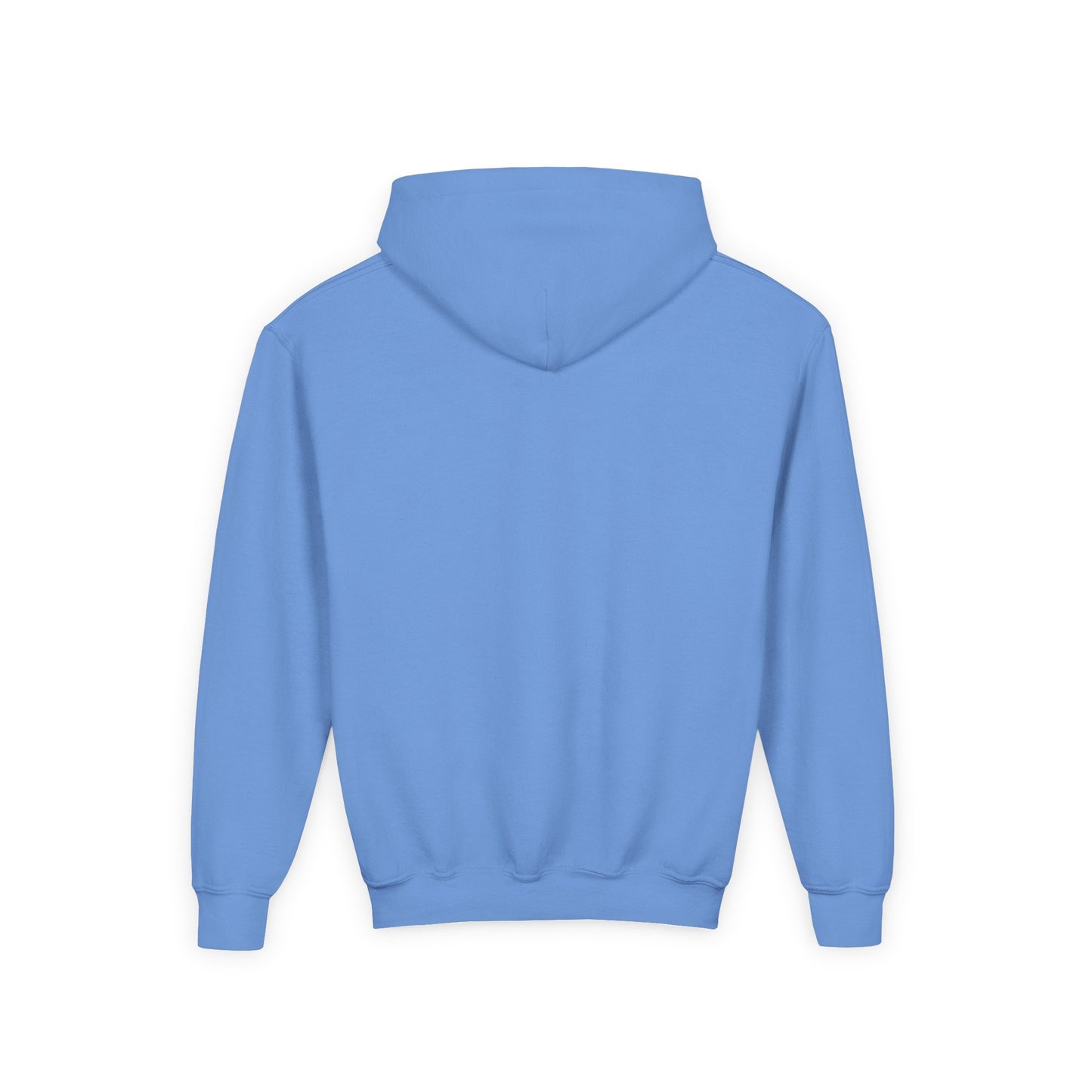 Jingles The Summertime Cat. Kids Hoodie