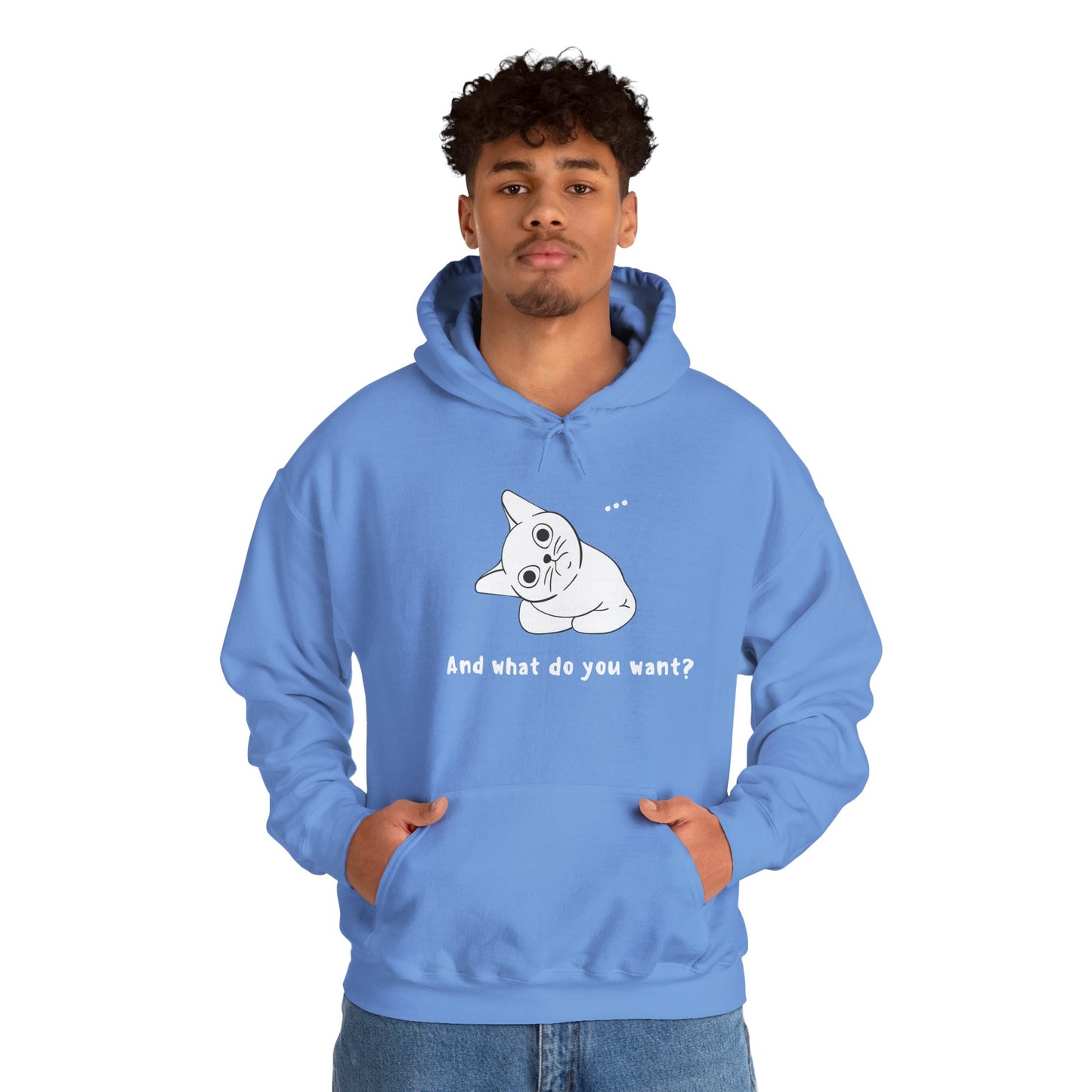 Vexing Cat Wondering What You Want.  Unisex Hooded Sweatshirt.