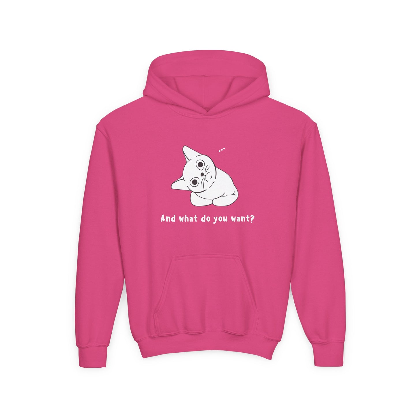 Vexing Cat Kids Hoodie