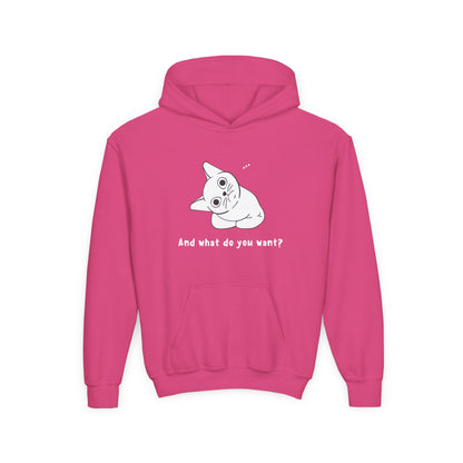 Vexing Cat Kids Hoodie
