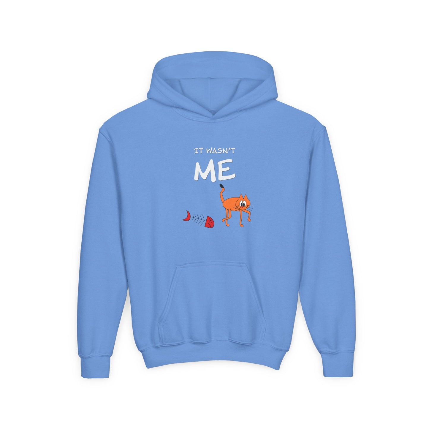 Leo The Cat Didn't Do It. Kids Hoodie