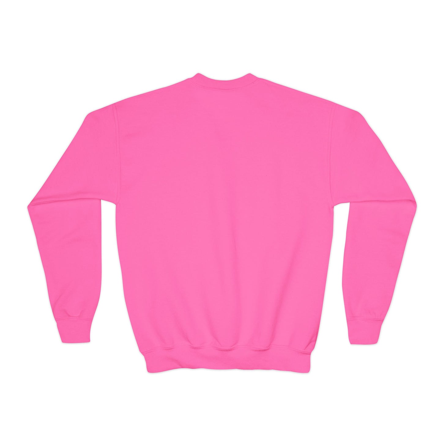 Don't Ever Give Up Eagle! Youth Crewneck Sweatshirt