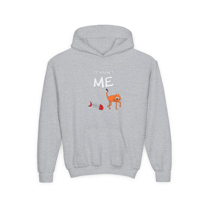 Leo The Cat Didn't Do It. Kids Hoodie