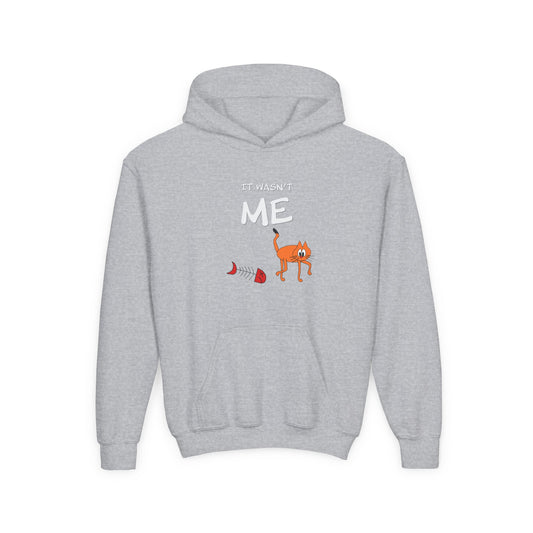 Leo The Cat Didn't Do It. Kids Hoodie