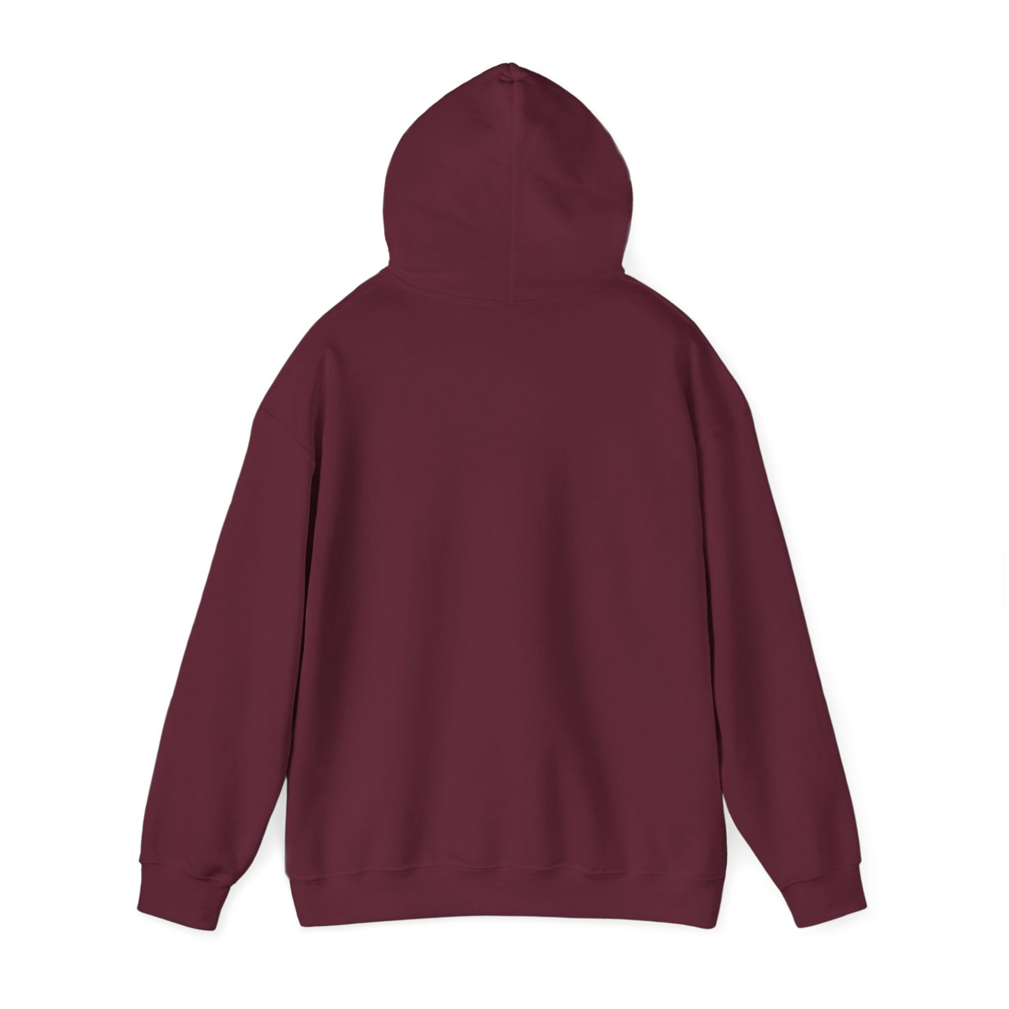 Regal Seagull Summer Vibes. Unisex Hooded Sweatshirt.