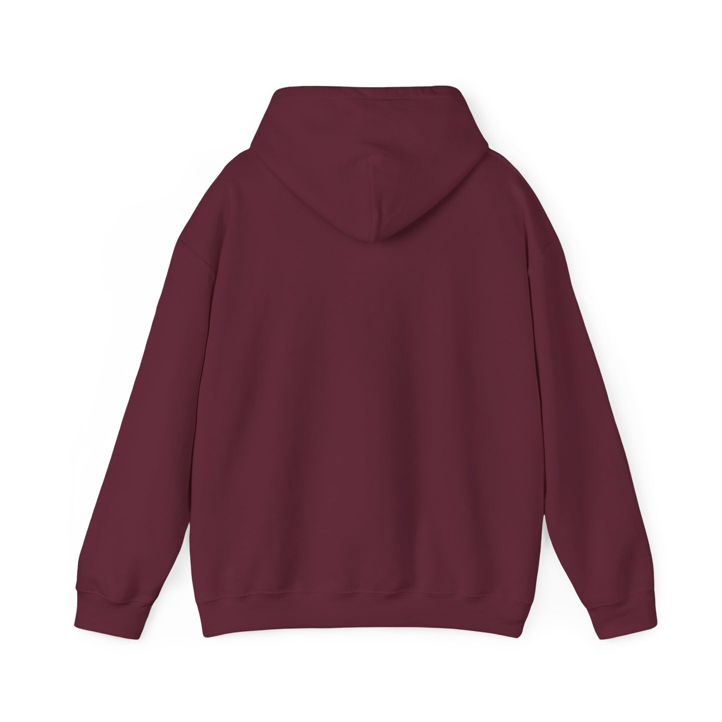 Regal Seagull Summer Vibes. Unisex Hooded Sweatshirt.