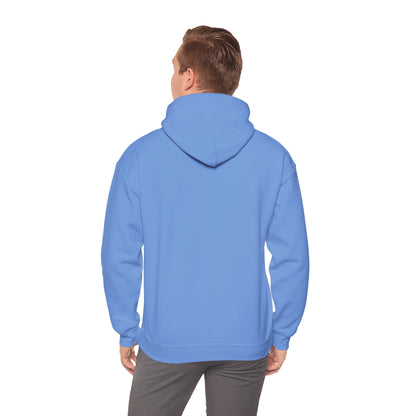 Cattitude, Is it plugged In, Unisex Hooded Sweatshirt.