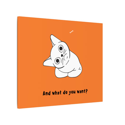 Vexing Cat Wondering What You Want. Canvas Gallery Wraps