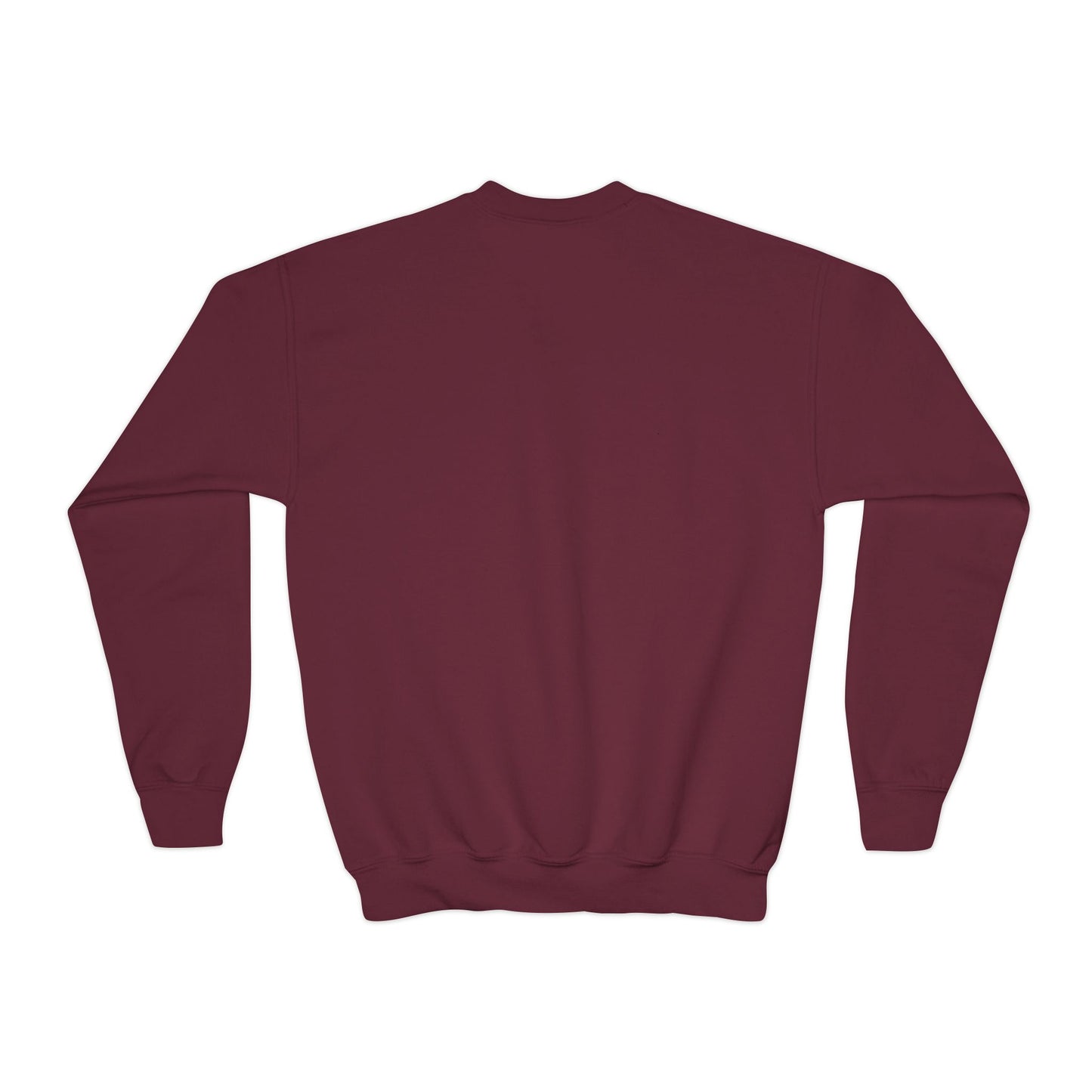 Don't Ever Give Up Eagle! Youth Crewneck Sweatshirt