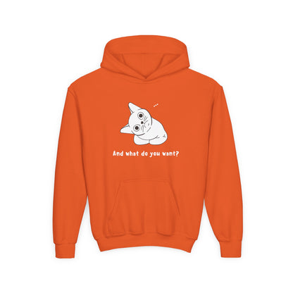 Vexing Cat Kids Hoodie