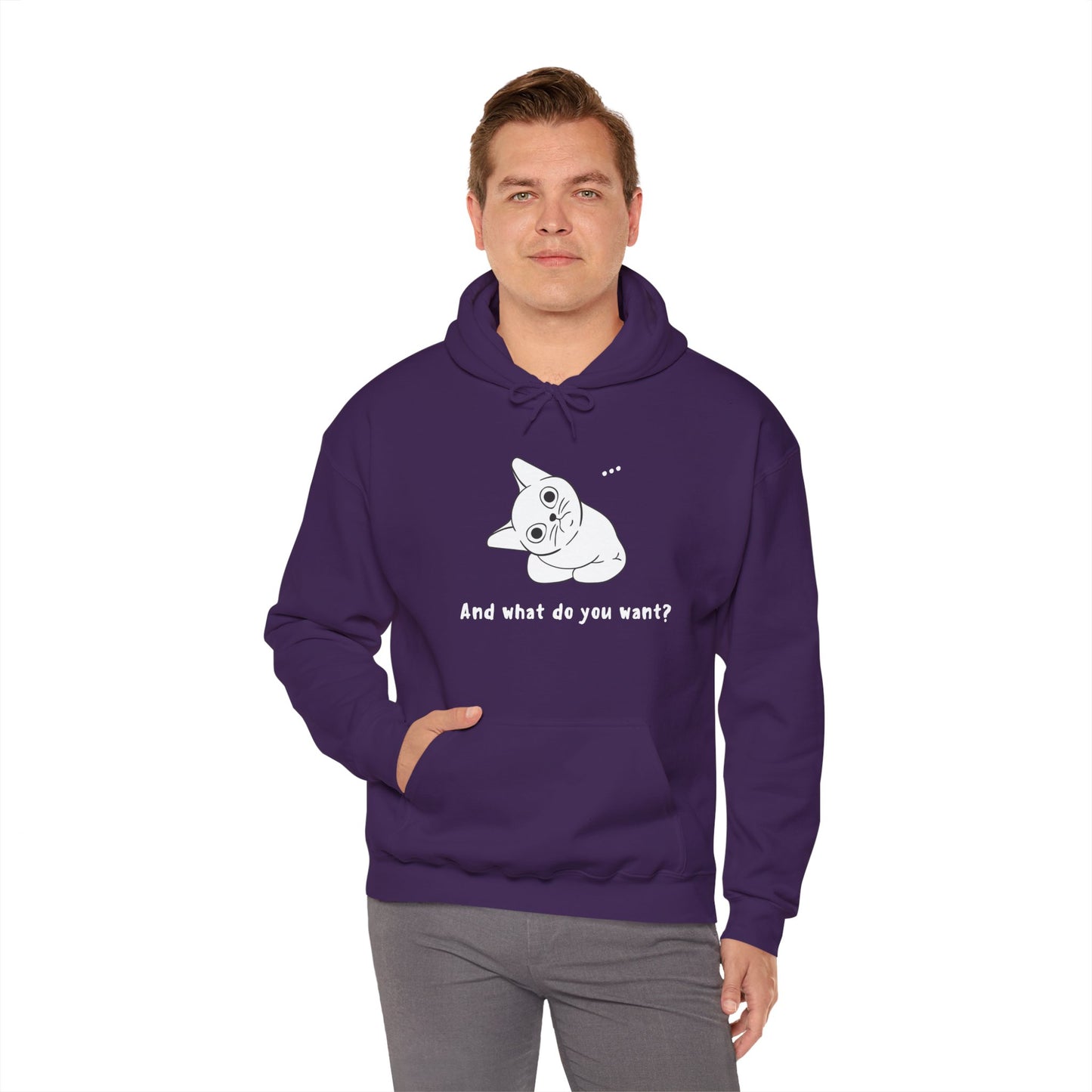 Vexing Cat Wondering What You Want.  Unisex Hooded Sweatshirt.