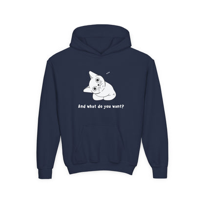 Vexing Cat Kids Hoodie