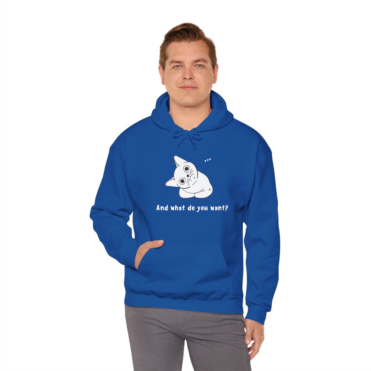 Vexing Cat Wondering What You Want.  Unisex Hooded Sweatshirt.