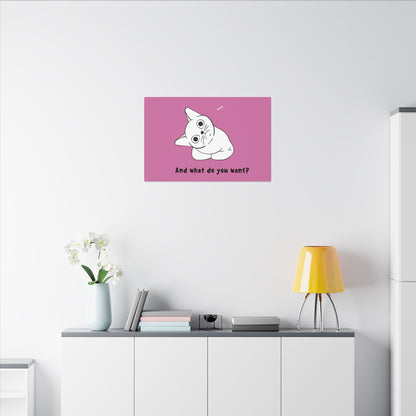Canvas Print - Cute but Vexing Cat Wondering What You Want
