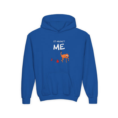 Leo The Cat Didn't Do It. Kids Hoodie