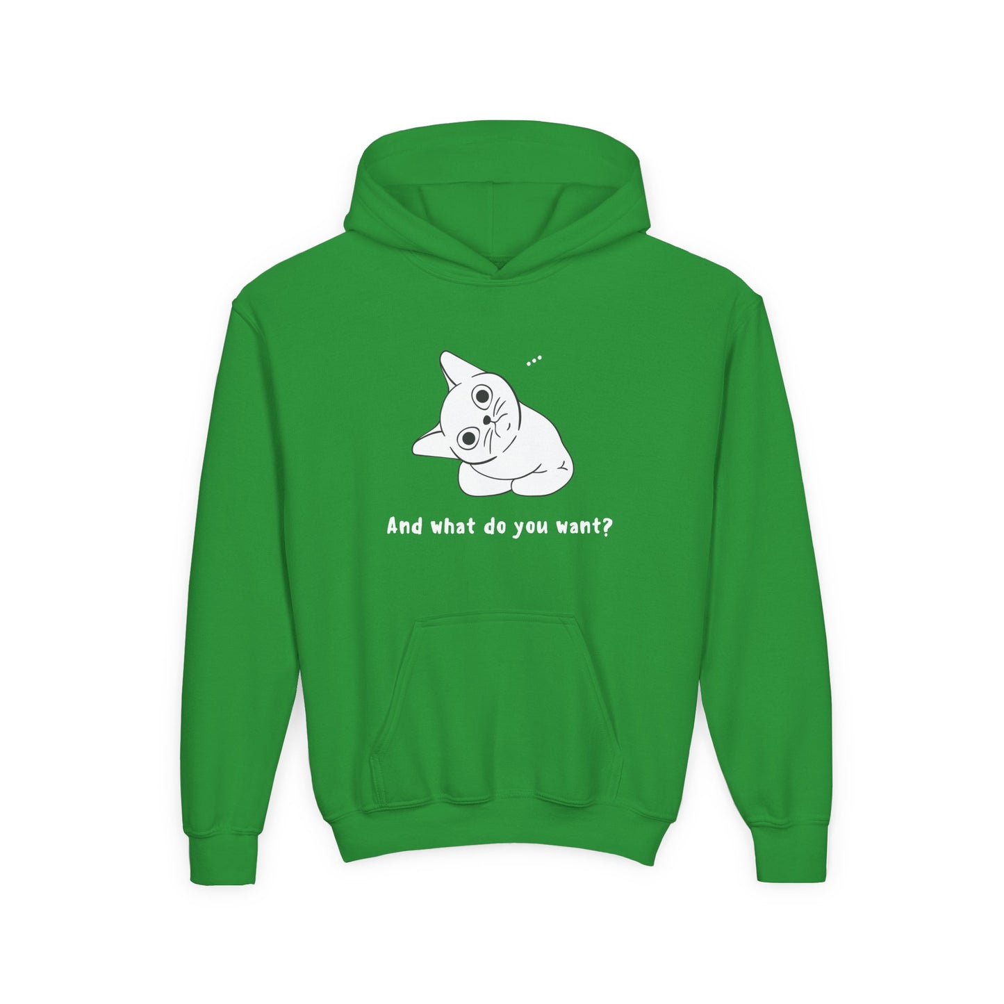 Vexing Cat Kids Hoodie