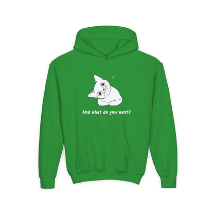 Vexing Cat Kids Hoodie