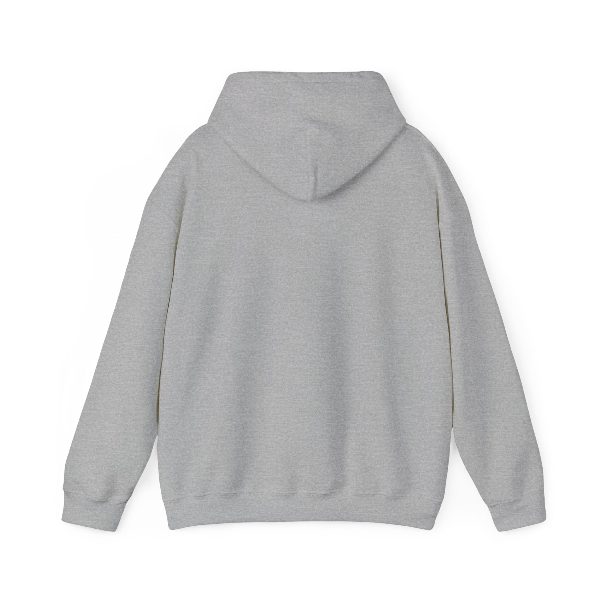 Plain grey coffee dog hoodie from Printify showing the back view with hood and long sleeves