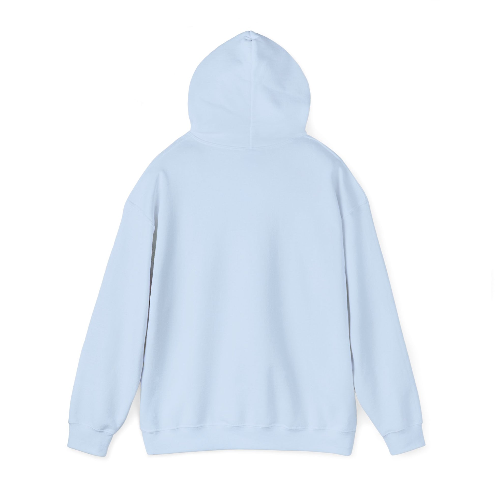 Light blue Printify hoodie shown from the back perfect for casual wear coffee dog hoodie