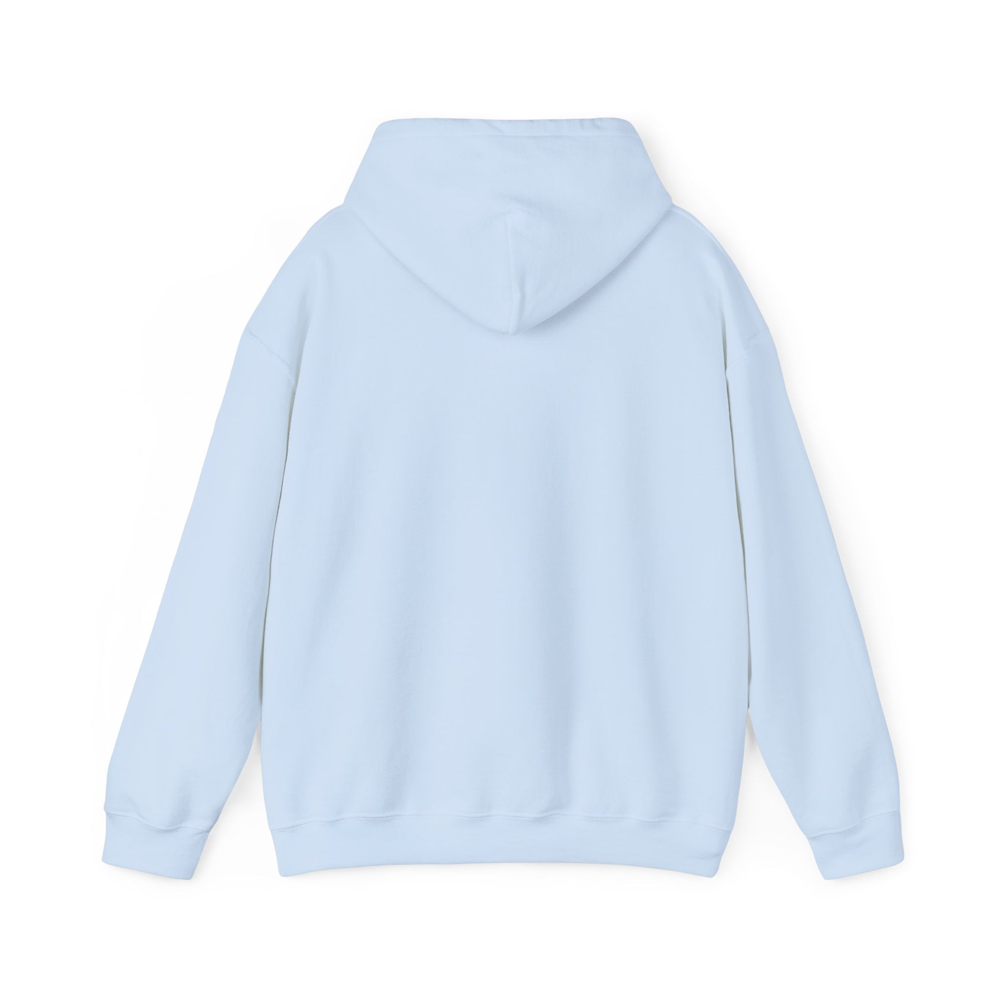 Light blue plain hoodie back view by Printify for coffee dog hoodie collection