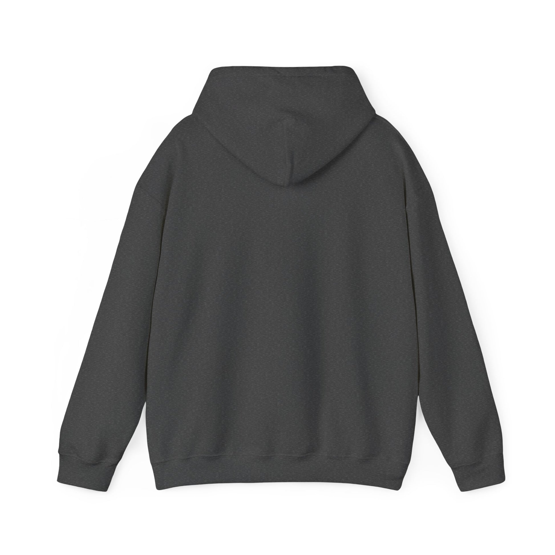 Printify black hoodie showing the back side ideal for funny hoodies for sale collection
