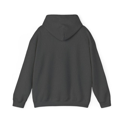 Printify black hoodie showing the back side ideal for funny hoodies for sale collection