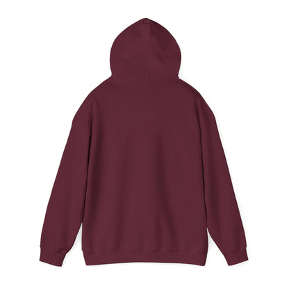 Burgundy hoodie from Printify showing back view, perfect for funny hoodies for sale