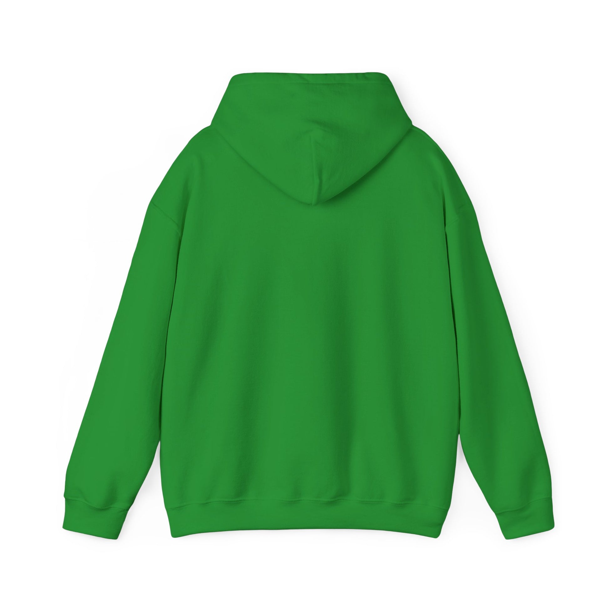 Green hoodie back view plain style from Printify for funny penguin hoodie design