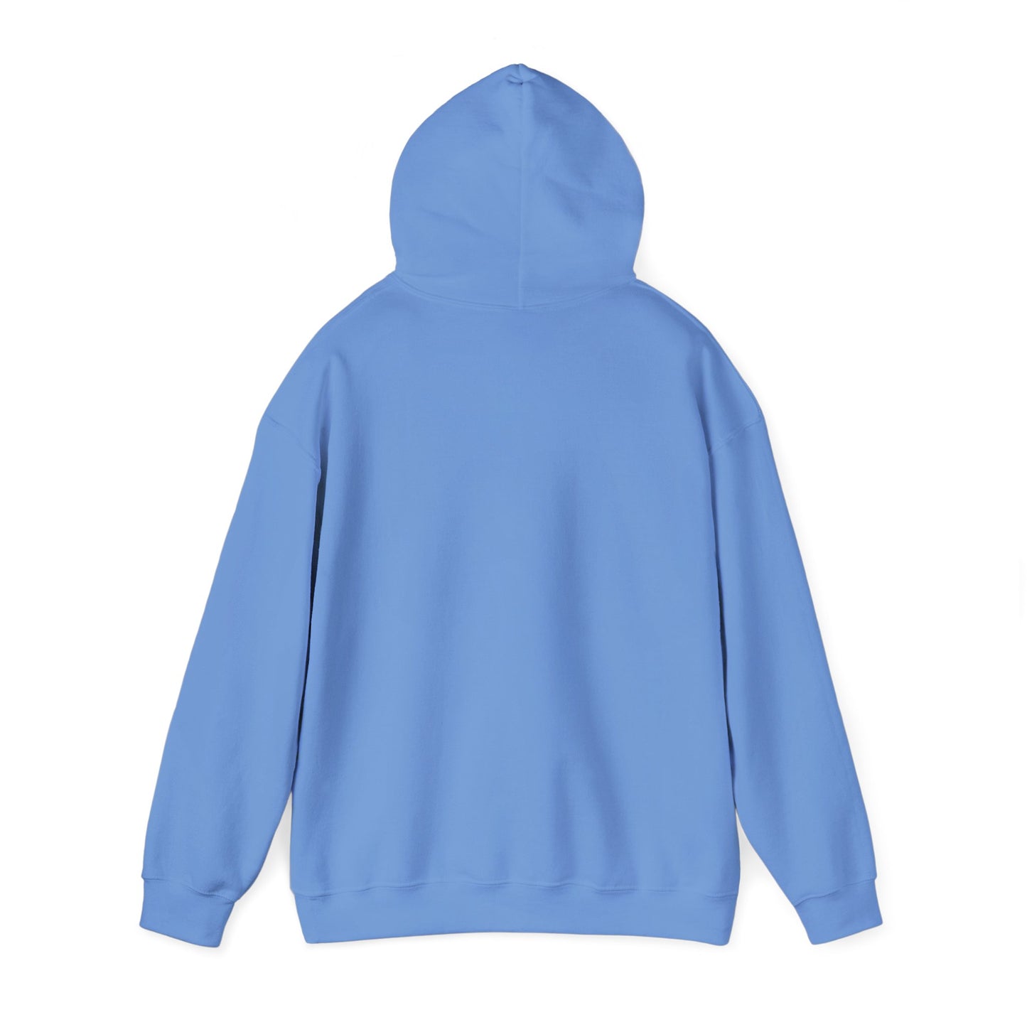 Back view of light blue hoodie with hood, plain design for funny penguin hoodie by Printify