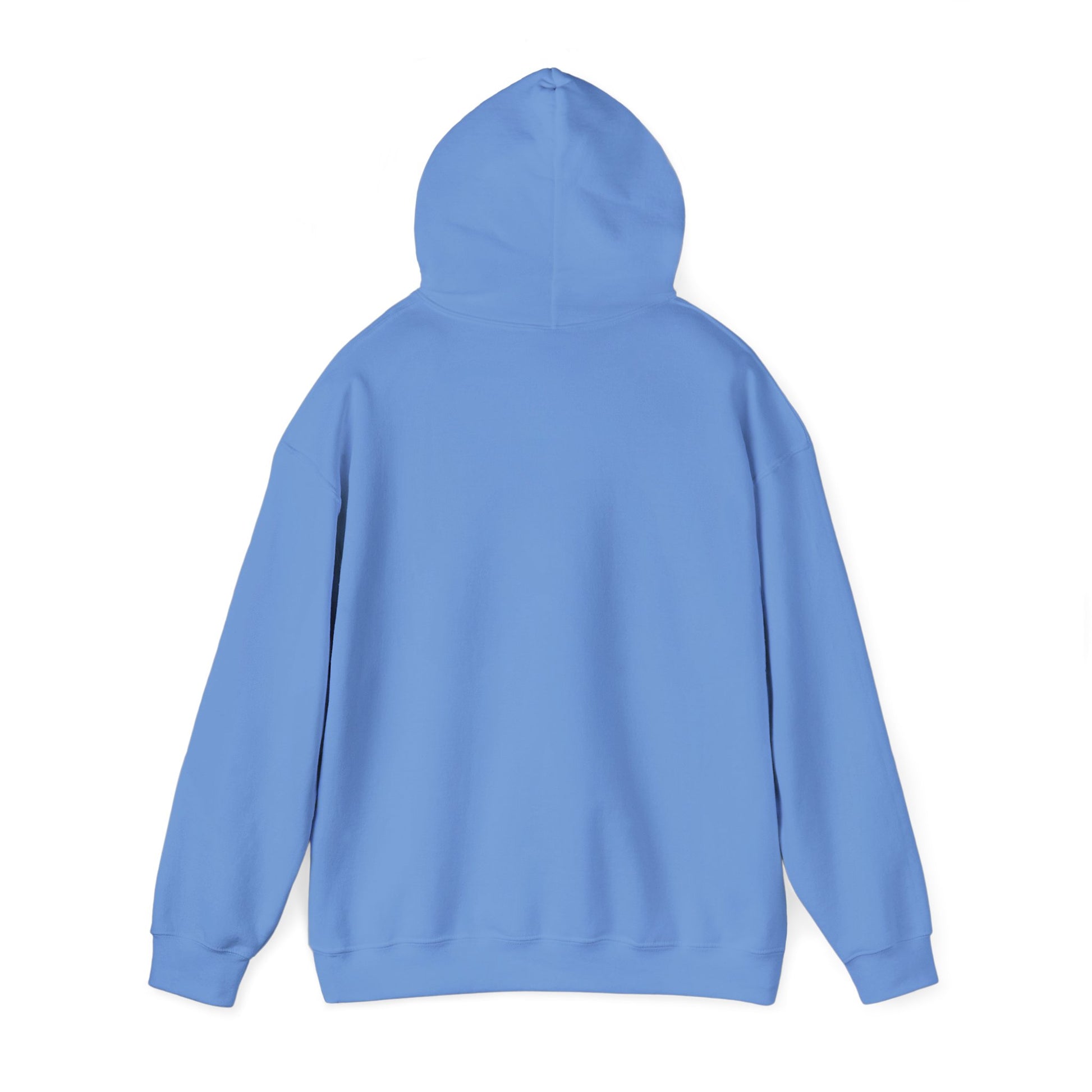 Back view of light blue hoodie with hood, plain design for funny penguin hoodie by Printify