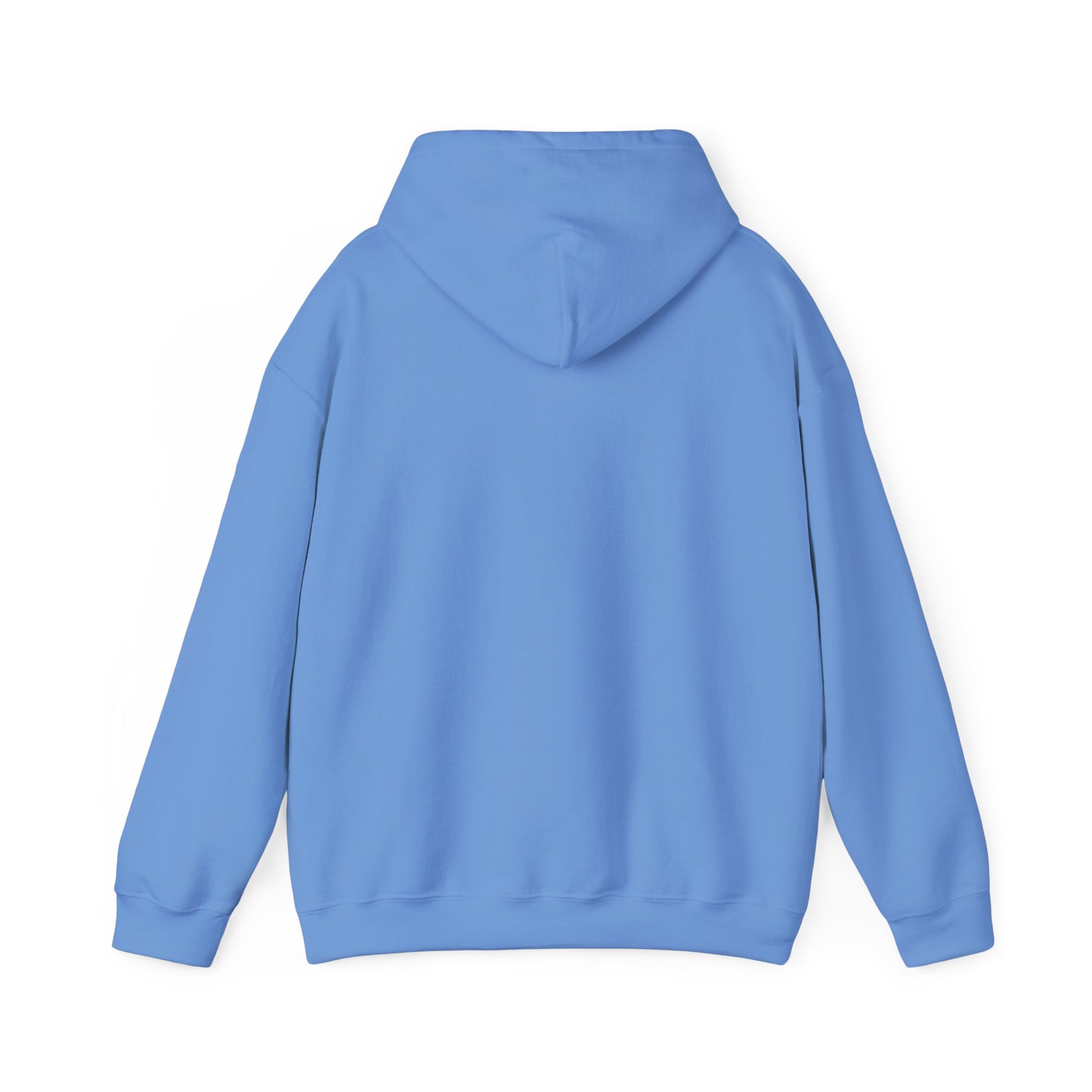Back view of light blue funny penguin hoodie by Printify with a comfortable hood and long sleeves