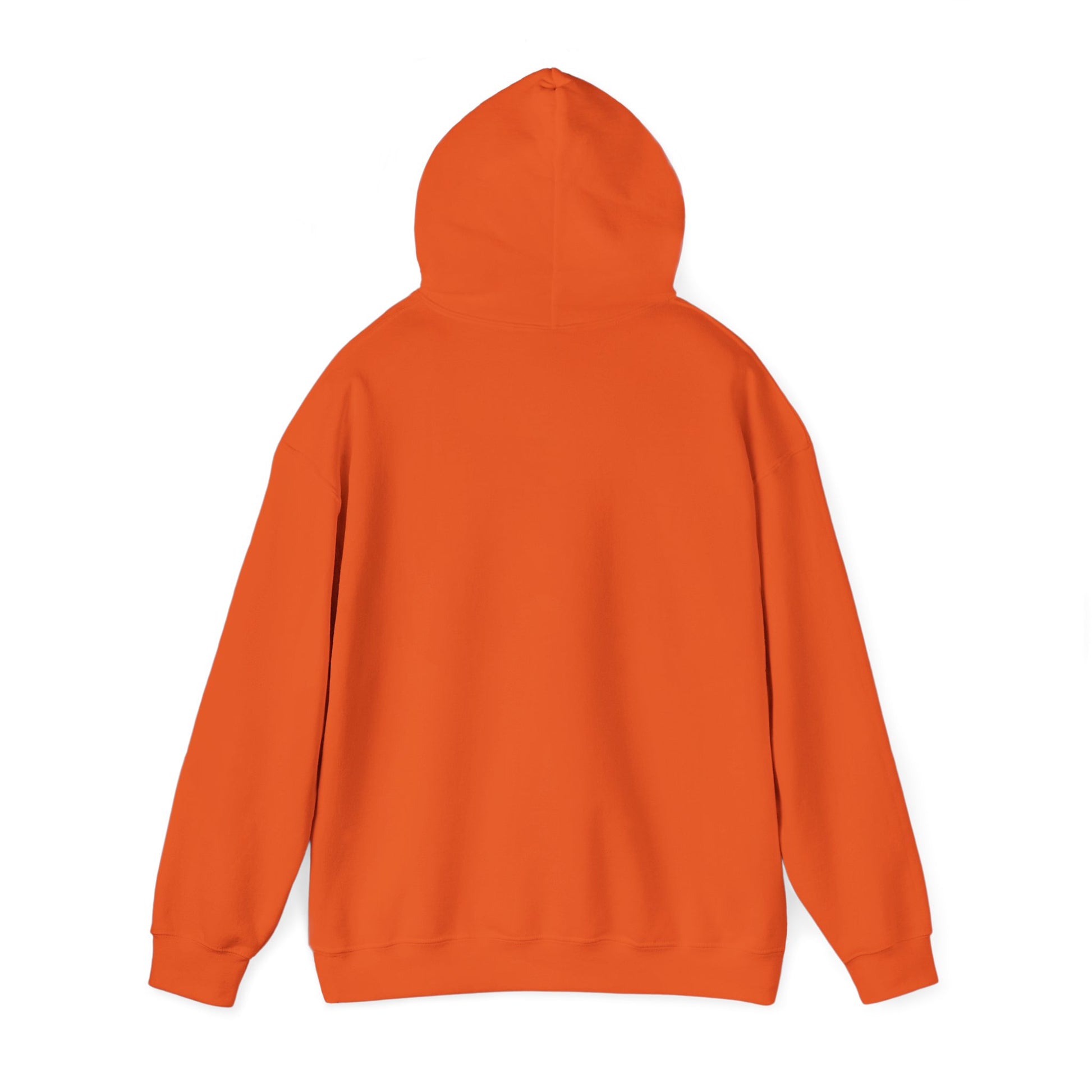 Orange hoodie showing back view for funny penguin hoodie by Printify