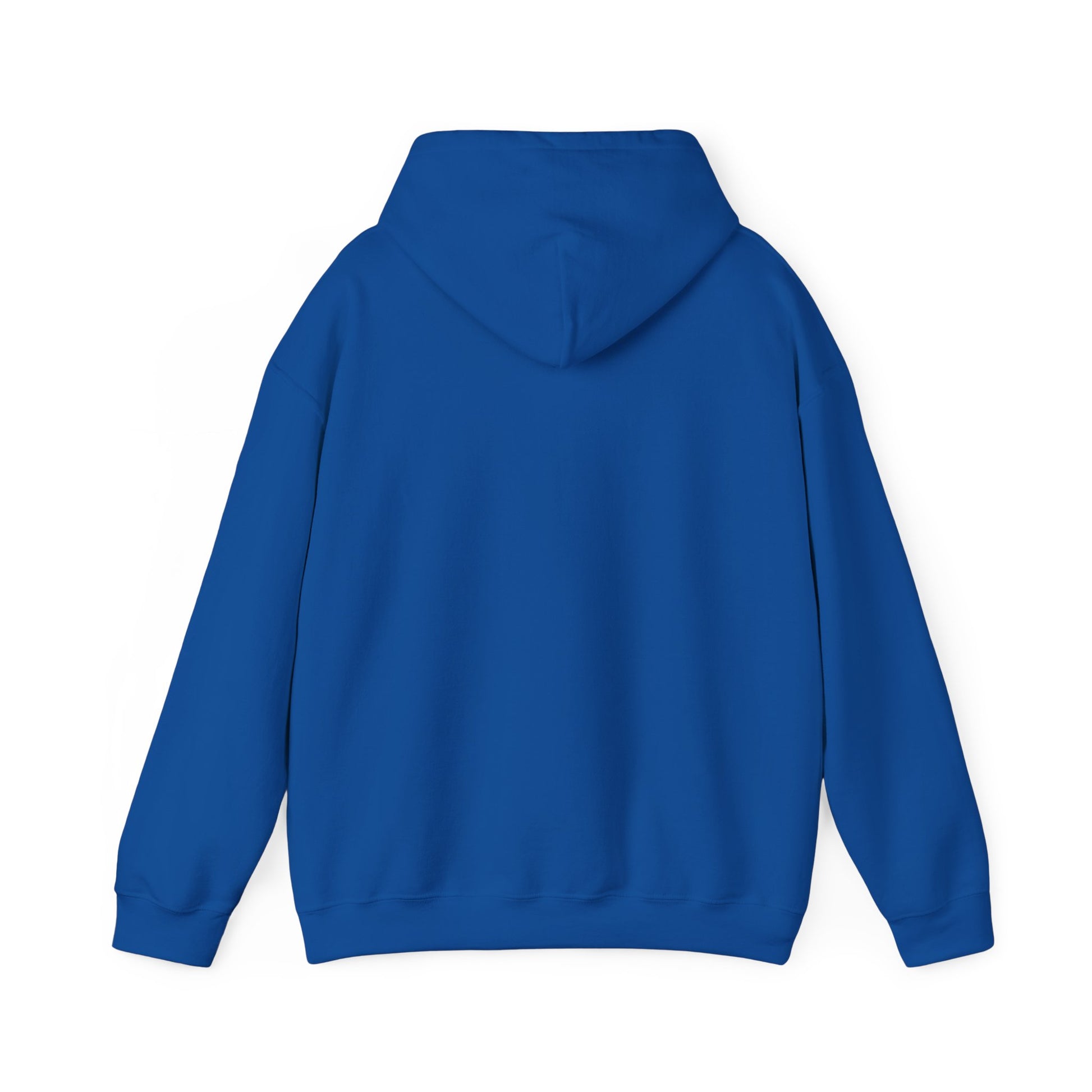 Blue plain hoodie back view from Printify perfect for funny penguin hoodie designs
