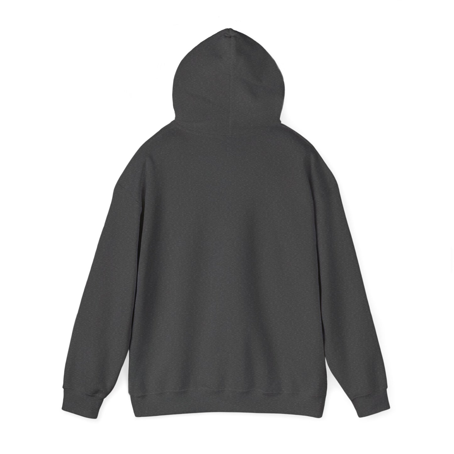 Back view of a plain dark gray funny sheep hoodie by Printify with a hood and long sleeves