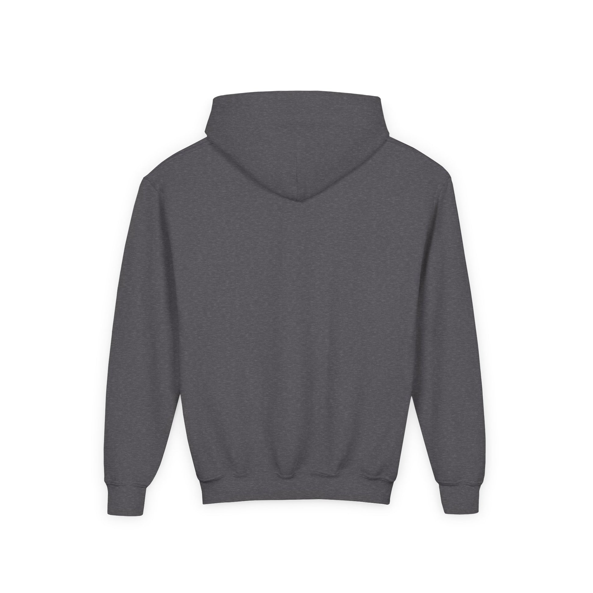 Back view of a plain dark gray funny sheep hoodie for kids made by Printify with long sleeves and hood