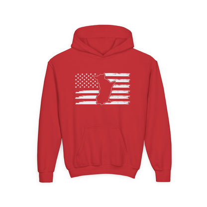 Red kids American flag hoodie with white distressed flag and squirrel graphic by Printify
